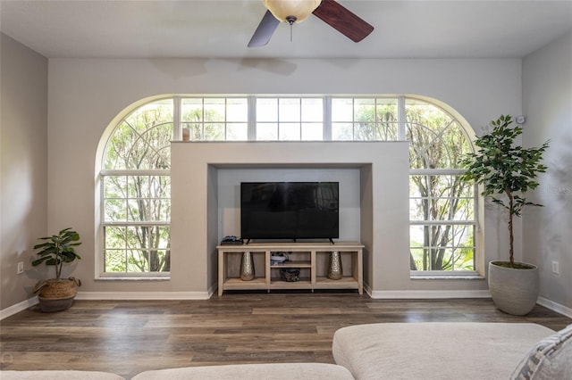 living area featuring a ceiling fan, wood finished floors, and a wealth of natural light