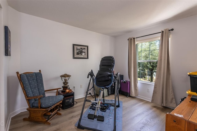 living area featuring light wood-type flooring