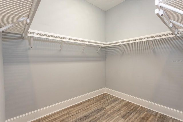 spacious closet featuring hardwood / wood-style floors