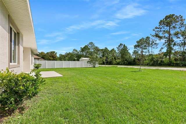 view of yard featuring a patio area