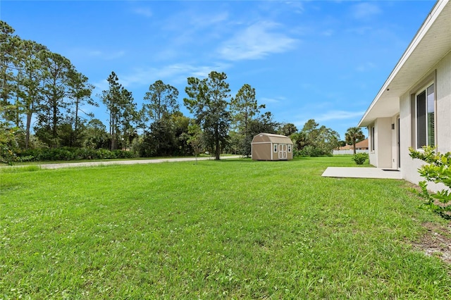 view of yard featuring a shed