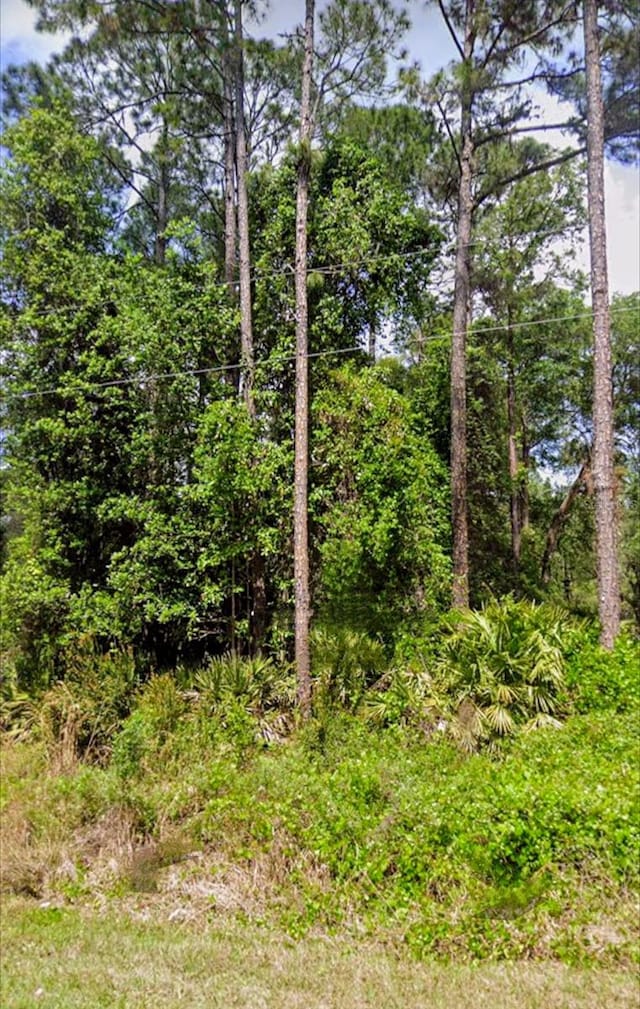 112 NE Ter, Georgetown FL, 32139 land for sale