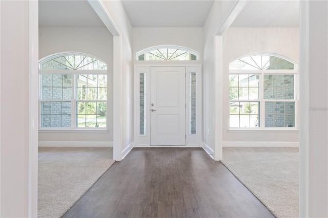 entryway with dark wood-type flooring and a wealth of natural light