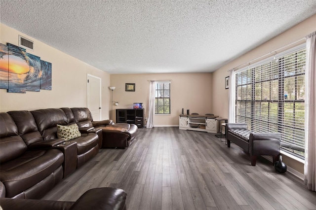 living room featuring a textured ceiling, plenty of natural light, and hardwood / wood-style floors