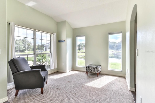 living area featuring light colored carpet, lofted ceiling, and a water view