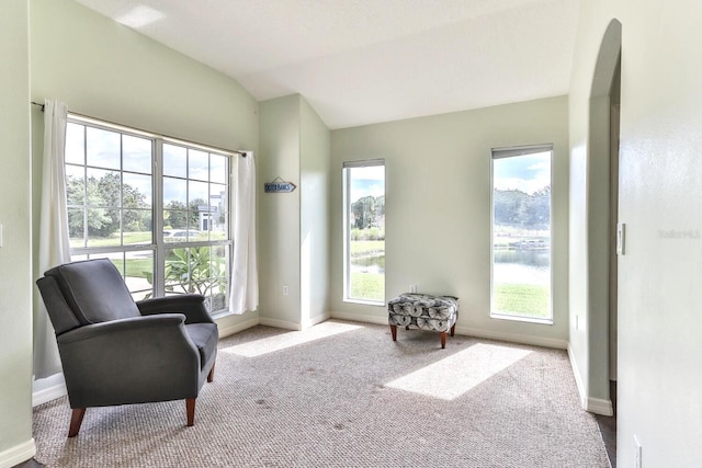 12 S Lakewalk Dr, Palm Coast, FL 32137 - living area featuring vaulted ceiling, carpet floors, baseboards, and arched walkways