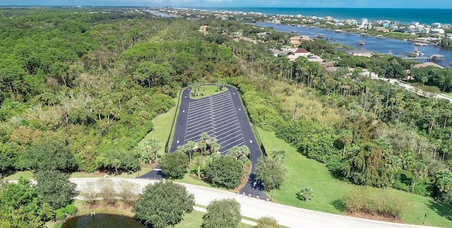 12 S Lakewalk Dr, Palm Coast, FL 32137 - view of property location with a large body of water and a heavily wooded area