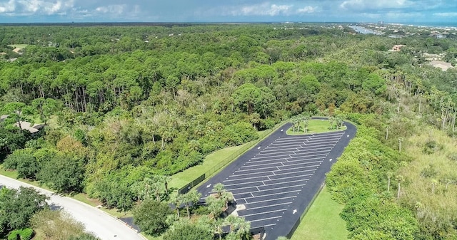 12 S Lakewalk Dr, Palm Coast, FL 32137 - aerial view of a heavily wooded area