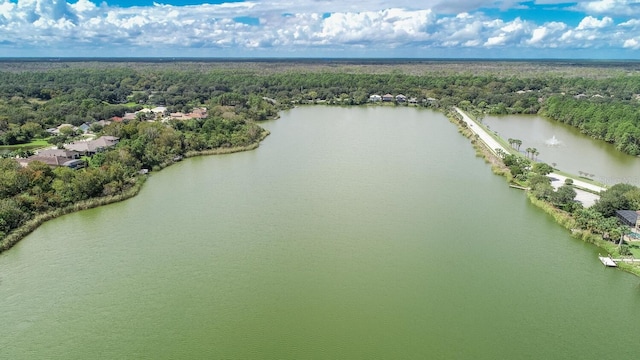 12 S Lakewalk Dr, Palm Coast, FL 32137 - aerial view of a forest and a nearby body of water
