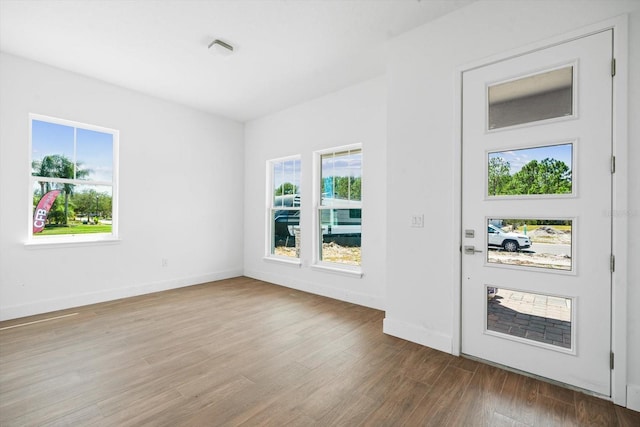 foyer with hardwood / wood-style floors and plenty of natural light