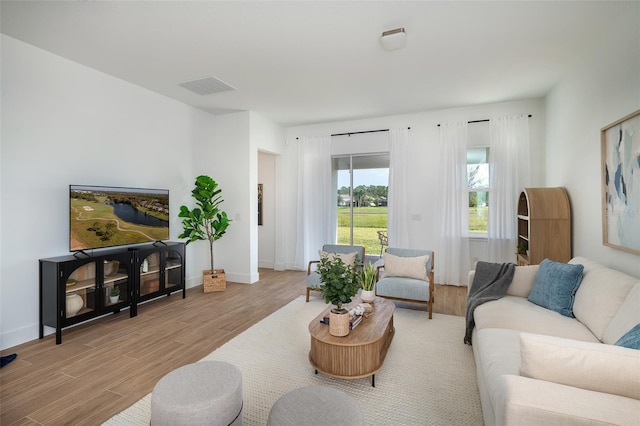 living room featuring light wood-type flooring