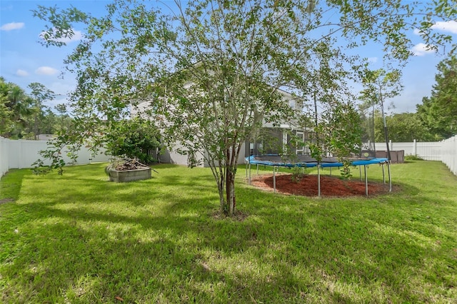 view of yard featuring a trampoline