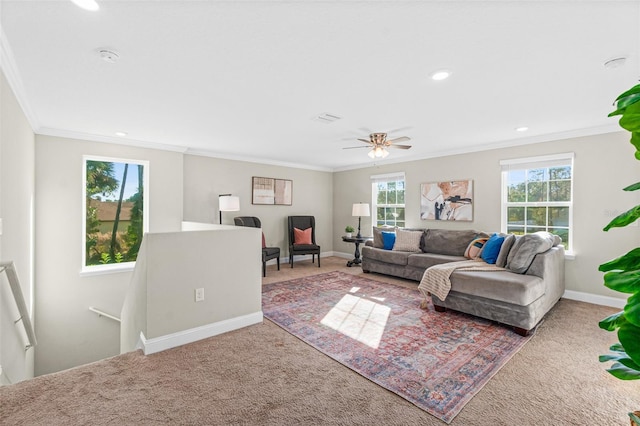 carpeted living room featuring a wealth of natural light, crown molding, and ceiling fan