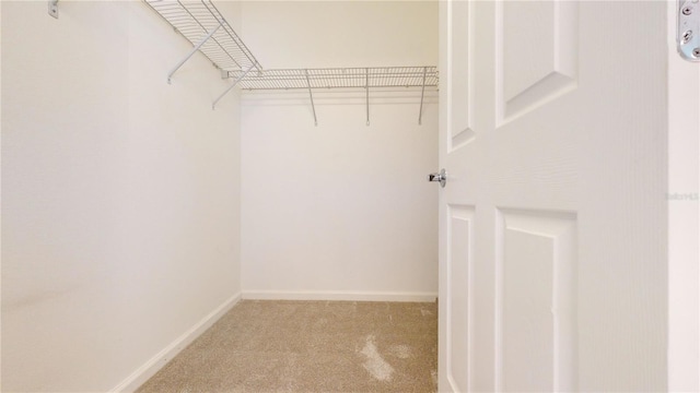 walk in closet featuring light colored carpet