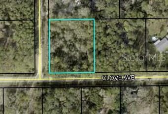 3686 Clove Ave, Bunnell FL, 32110 land for sale