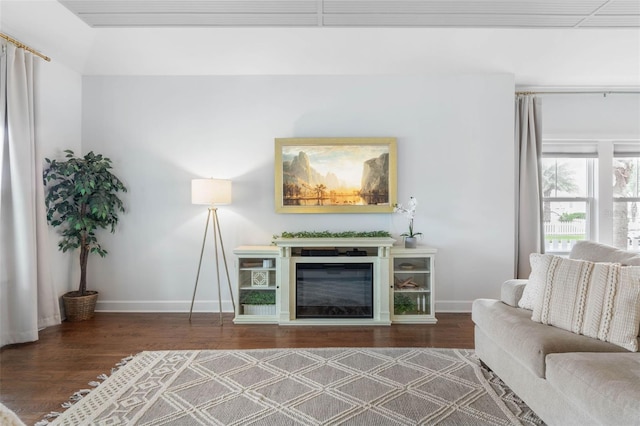 living room featuring dark wood-type flooring