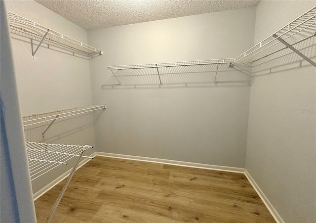 walk in closet featuring wood-type flooring