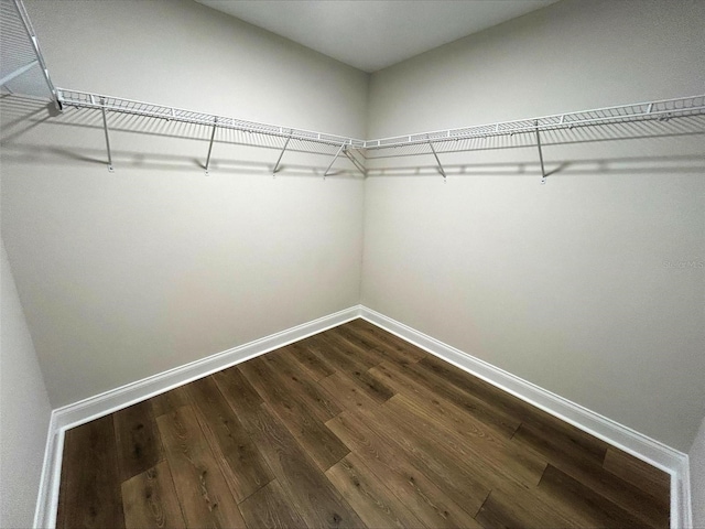 walk in closet featuring wood-type flooring