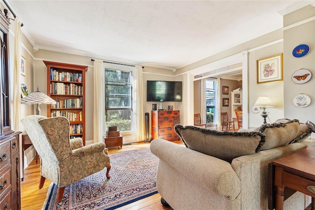 living room with light hardwood / wood-style floors and ornamental molding