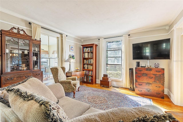 living room featuring light hardwood / wood-style floors and crown molding