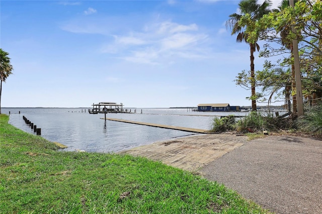 dock area with a water view