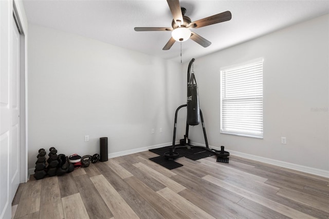 workout area with ceiling fan and light wood-type flooring