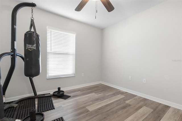 exercise room with a wealth of natural light, light hardwood / wood-style floors, and ceiling fan