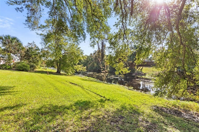 view of yard with a water view