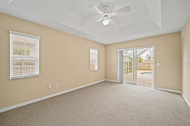 spare room with carpet flooring, a textured ceiling, and plenty of natural light