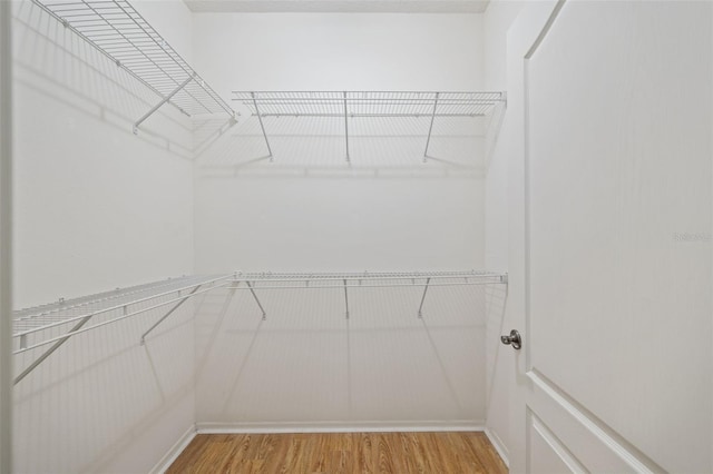 spacious closet featuring wood-type flooring