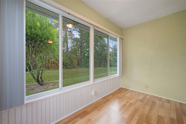 empty room featuring light hardwood / wood-style floors and plenty of natural light