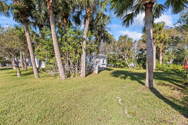 2329 S Flagler Ave, Flagler Beach, FL 32136 - photo 51