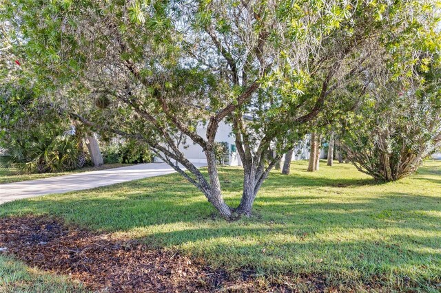 2329 S Flagler Ave, Flagler Beach, FL 32136 - photo 52
