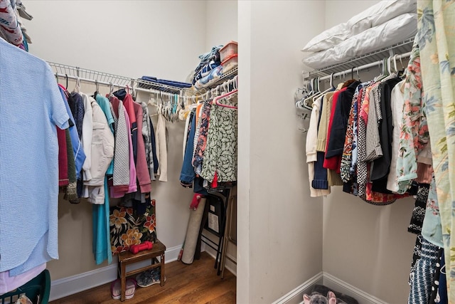 walk in closet with wood-type flooring