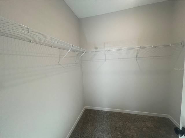 spacious closet featuring dark colored carpet