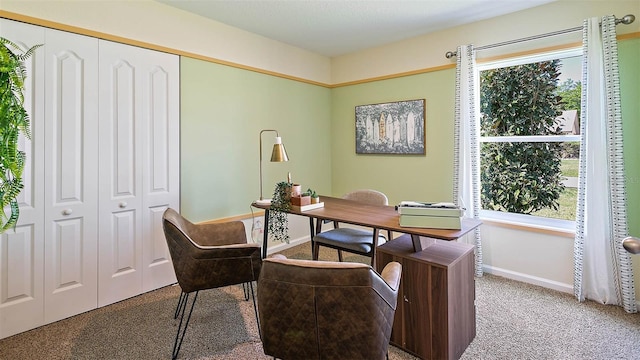 carpeted home office featuring plenty of natural light