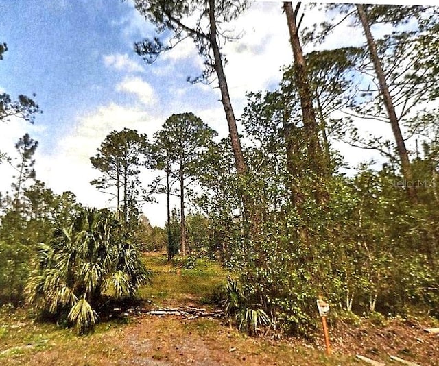 S US Highway 17, Pierson FL, 32180 land for sale