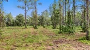 Listing photo 3 for S US Highway 17, Pierson FL 32180