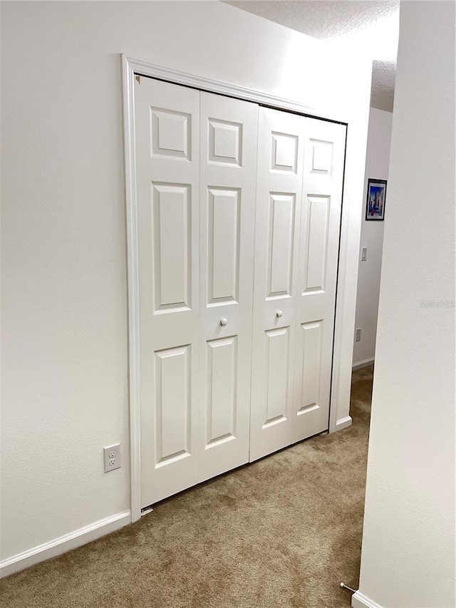 interior space featuring carpet and a textured ceiling