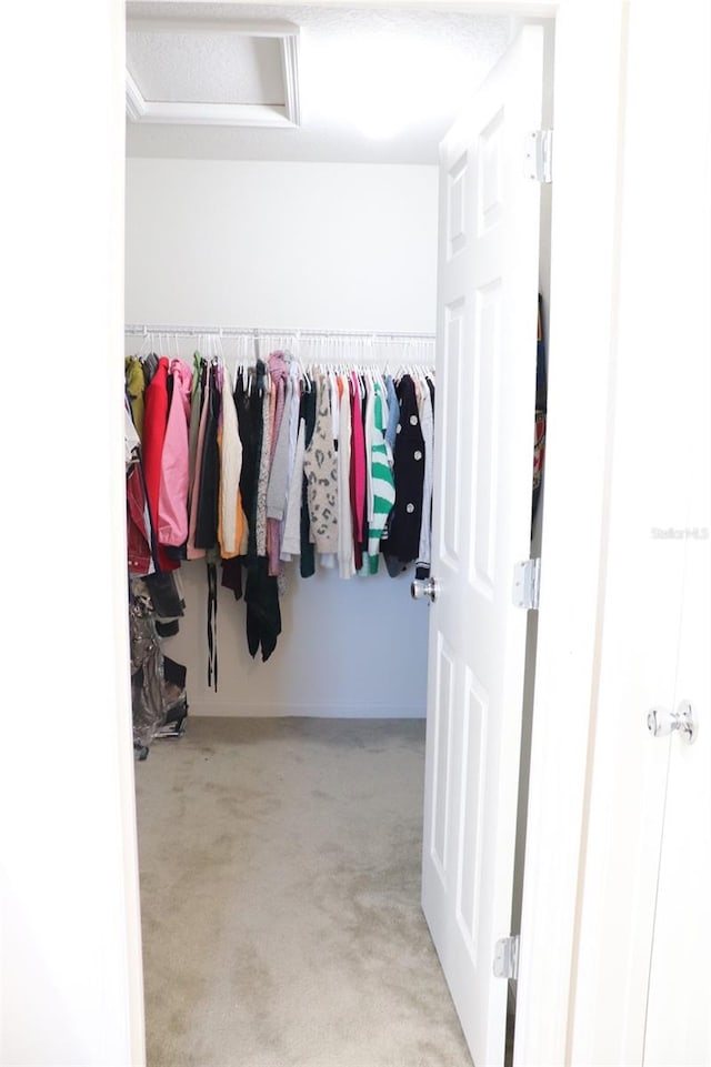 spacious closet featuring light colored carpet