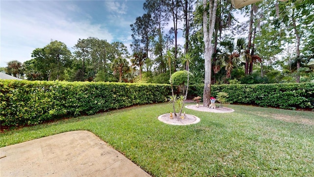 view of yard with a patio area