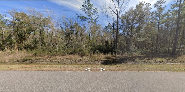 10240 Turpin Ave, Hastings FL, 32145 land for sale