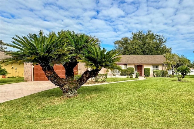 ranch-style home featuring a front yard