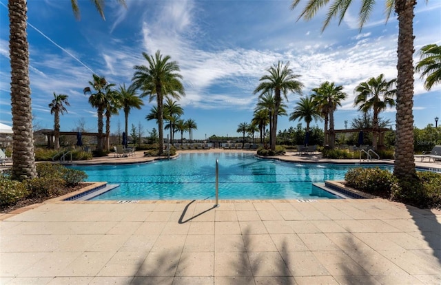 view of swimming pool featuring a patio