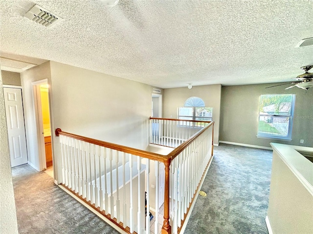 hallway featuring a healthy amount of sunlight, a textured ceiling, and carpet floors