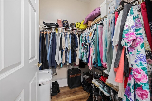 walk in closet with wood-type flooring