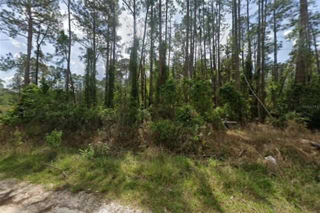 105 Pine Cone Dr, Georgetown FL, 32139 land for sale