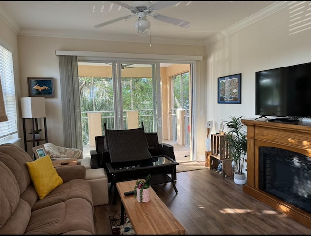 living room with dark hardwood / wood-style flooring, crown molding, and ceiling fan