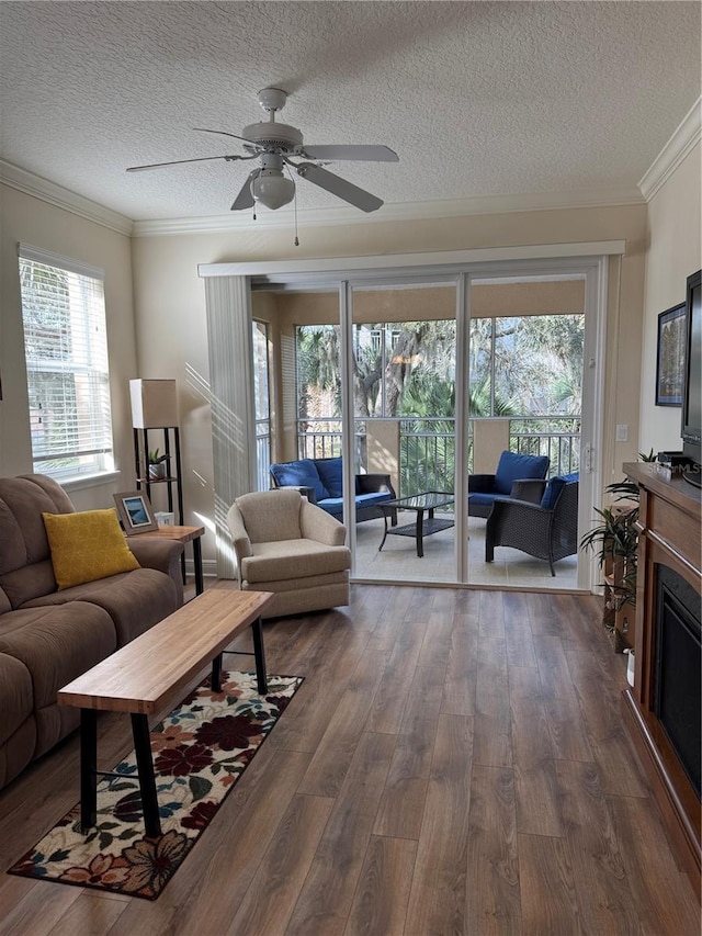 living room with crown molding, ceiling fan, dark hardwood / wood-style flooring, and a textured ceiling