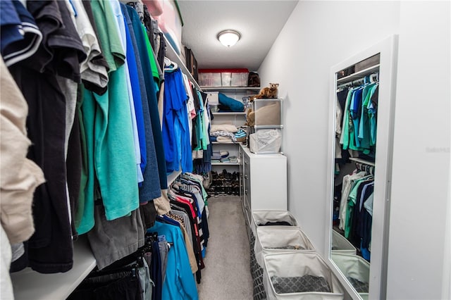 spacious closet with carpet floors